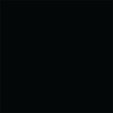 Black epoxy floor color swatch